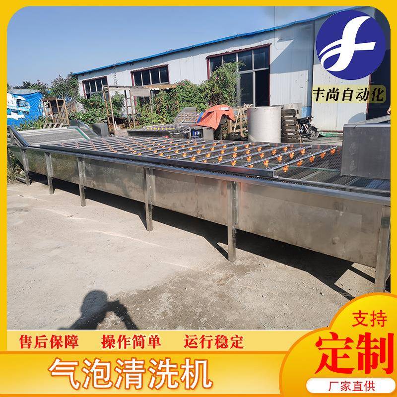 大小型水果连续式清洗机杨桃百香果罗汉果清洗机自动化洗菜机