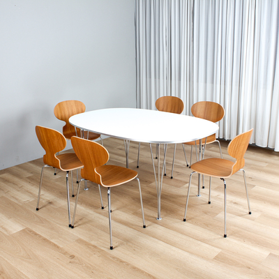 超椭圆桌原版桌子fritzhansen