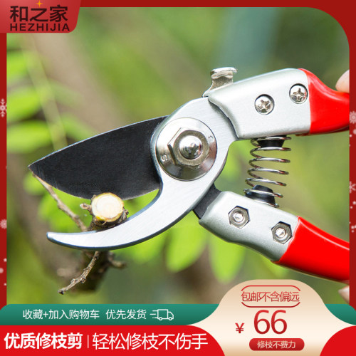 优质修花修枝剪刀园林工具果树剪子花剪修剪树枝园艺粗枝剪树剪