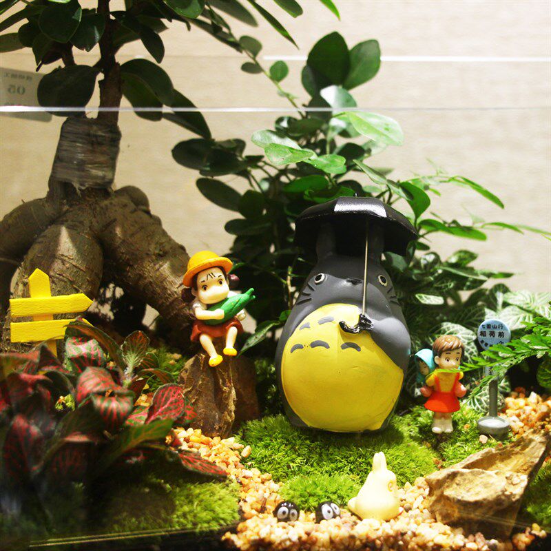 微景观玻璃缸大号生态瓶DIY桌面创意盆栽生日礼物材料包盆景植物