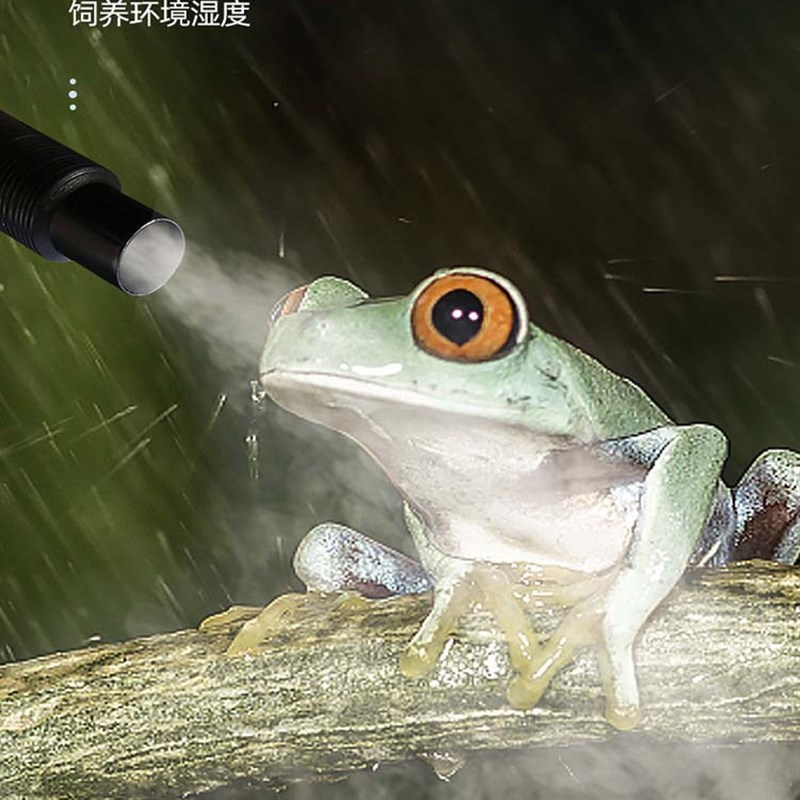爬宠加湿器植物陆龟蜥蜴喷雾寄居蟹加湿器变色龙树蛙宠物加湿器