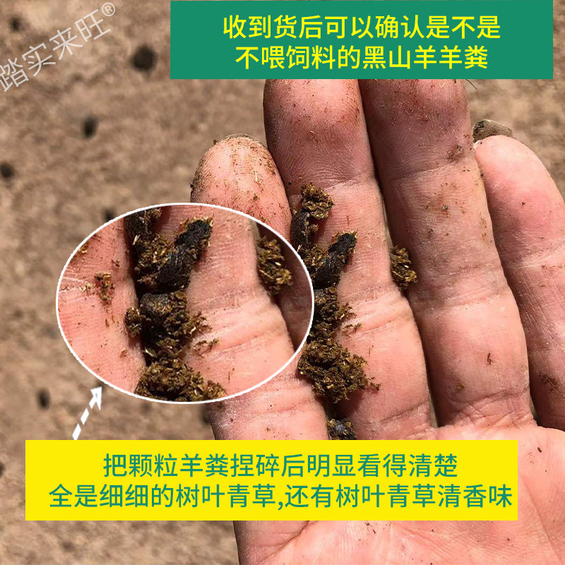 云南黑山羊纯羊粪发酵腐熟干羊粪兰花蔬菜花卉有机肥料羊粪颗粒蛋