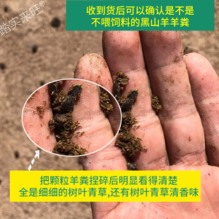 云南黑山羊纯羊粪发酵腐熟干羊粪兰花蔬菜花卉有机肥料羊粪颗粒蛋