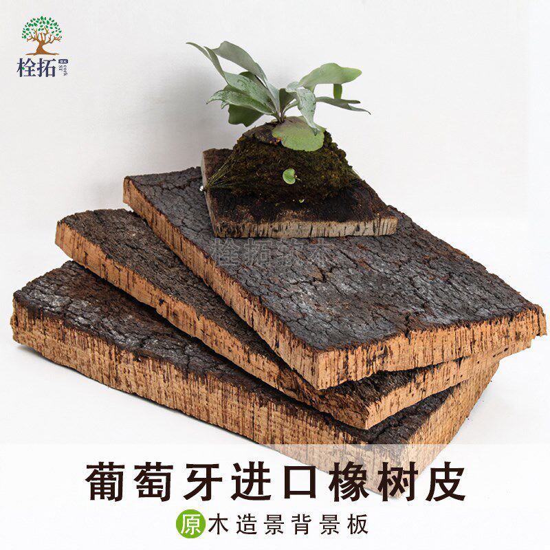 葡萄牙进口天然软木造景爬宠缸背景板兰花板植装饰橡木树皮