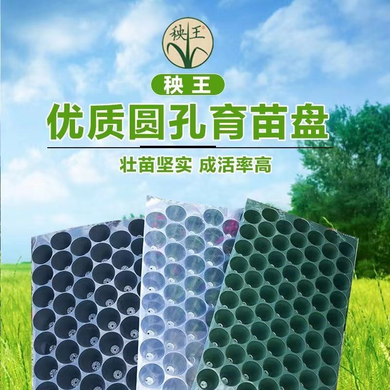 加厚防晒耐用圆孔育苗盘穴盘育苗盒育苗喷玉米蔬菜瓜果育苗辣椒