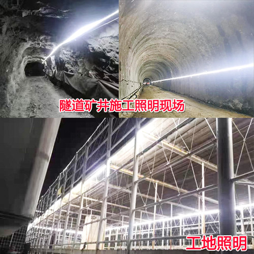 led灯带220V超亮工程户外防水工地矿井养殖双排白光暖光低压24v36