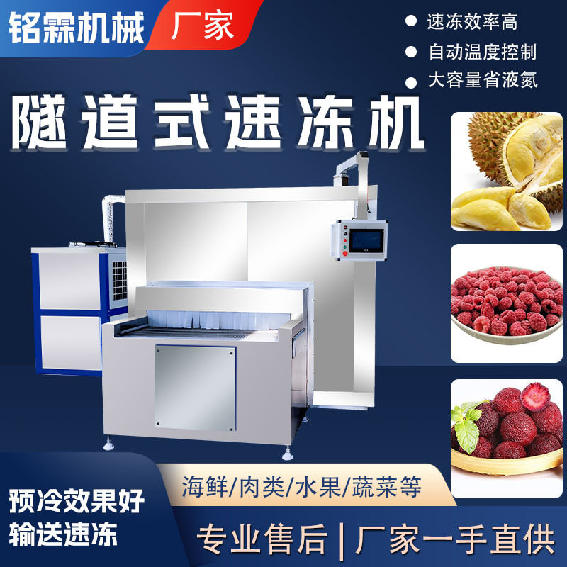 全自动金枕榴莲隧道式速冻机商用树莓桑葚梅子大型隧道速冻设备