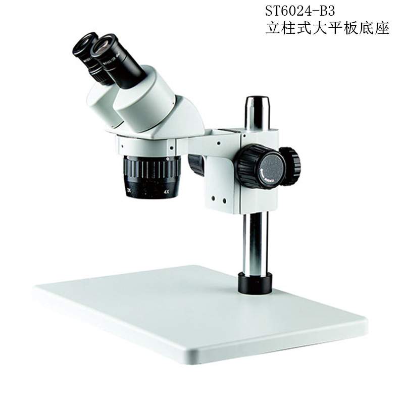 杭州精兢ST6024-B5 定档变倍体视显微镜生物科研现代电子