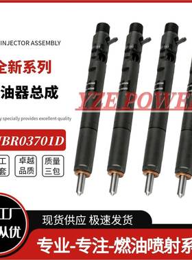 EJBR03701D柴油喷油器33800-4X800适用于华泰特拉卡2.9T电喷