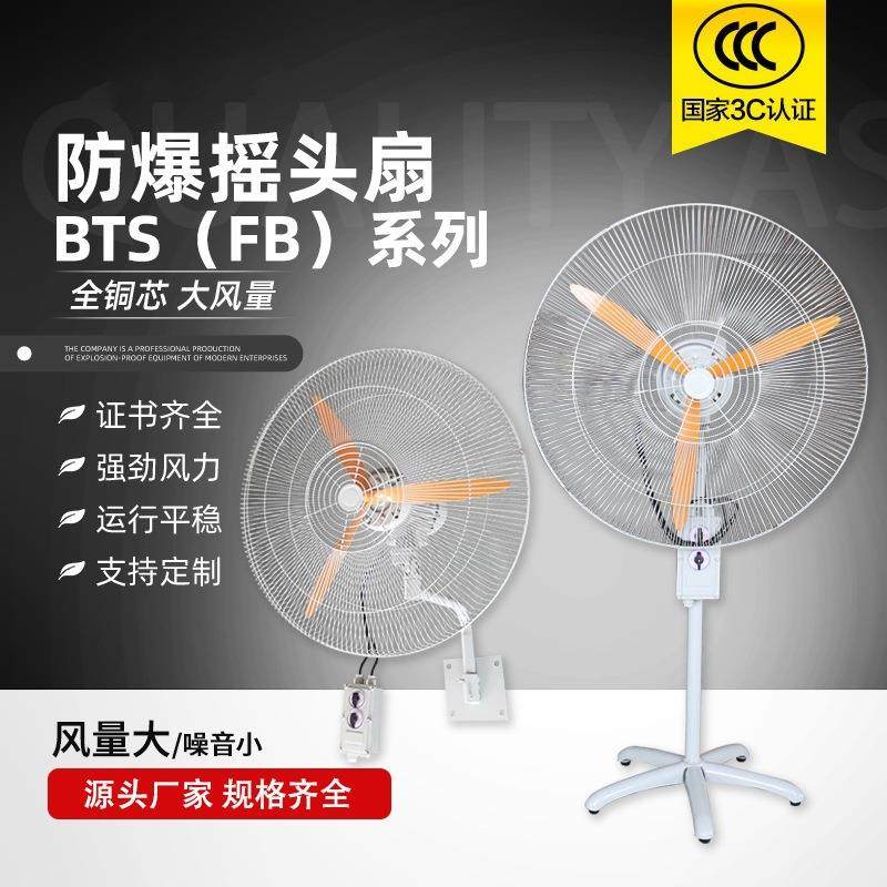 FB-750大功率排风扇工业强力散热落地式壁挂式BTS-500防爆摇头扇