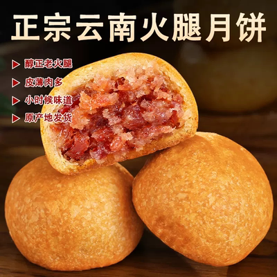 拍10件！宣威正宗云南云腿小饼10个