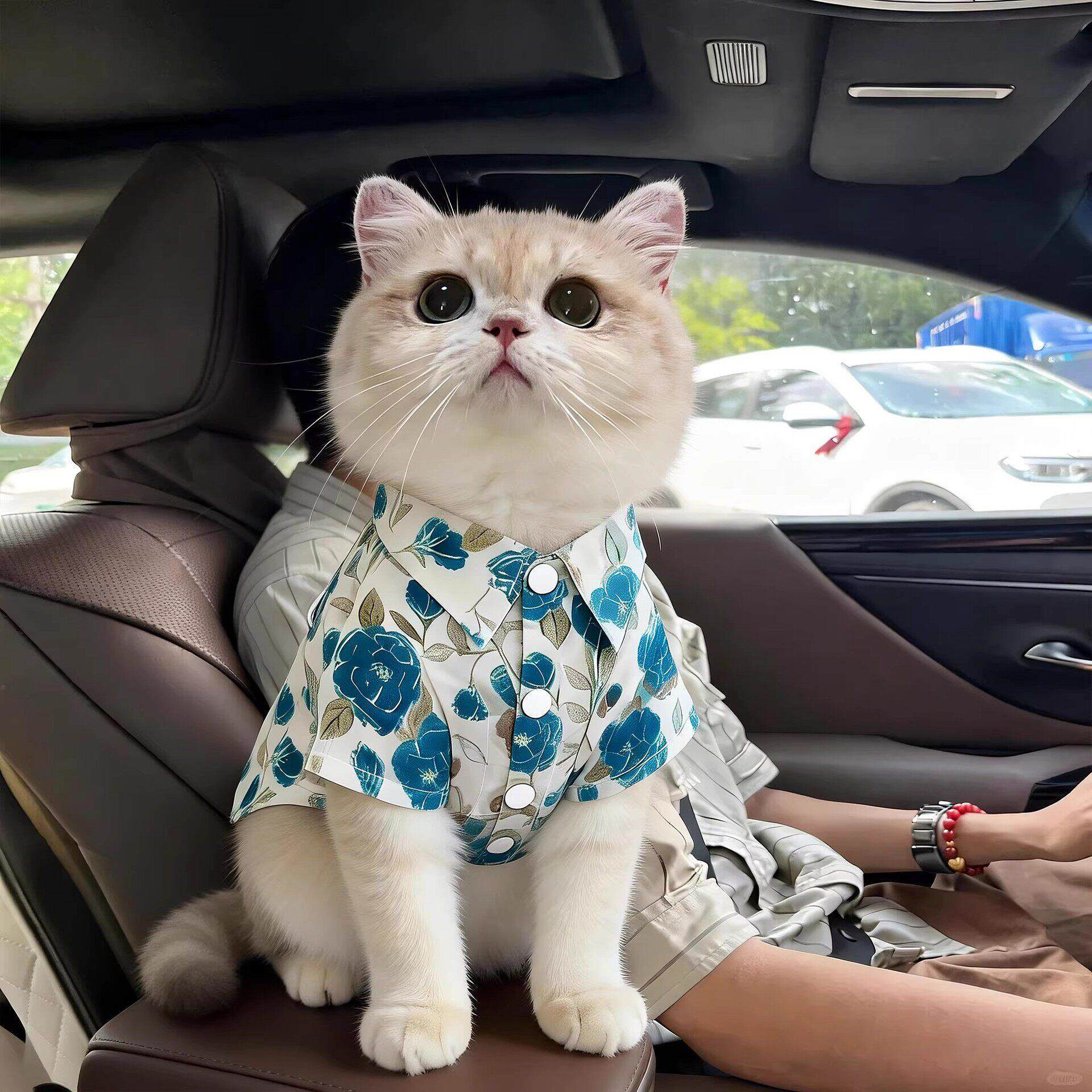 猫咪衣服碎花衬衫春夏薄款防飞毛布偶金渐层蓝猫宠物小型犬狗衣服