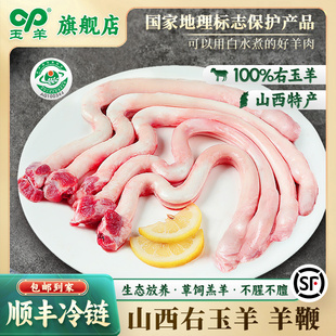 玉羊右玉羊鞭新鲜整根羊鞭商用2斤生鲜羊鞭烧烤煲汤爆炒冷冻羊鞭