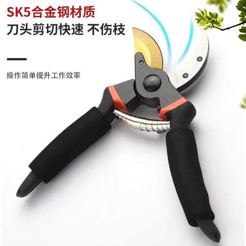 园林修枝剪SK5强力园艺剪不锈钢省力修剪枝果树粗枝树枝专用剪子