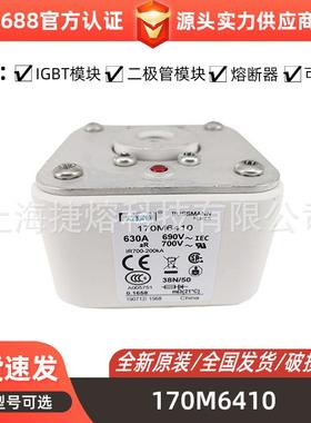 170M6410170M6411快速熔断器保险丝电子元器件量大价优