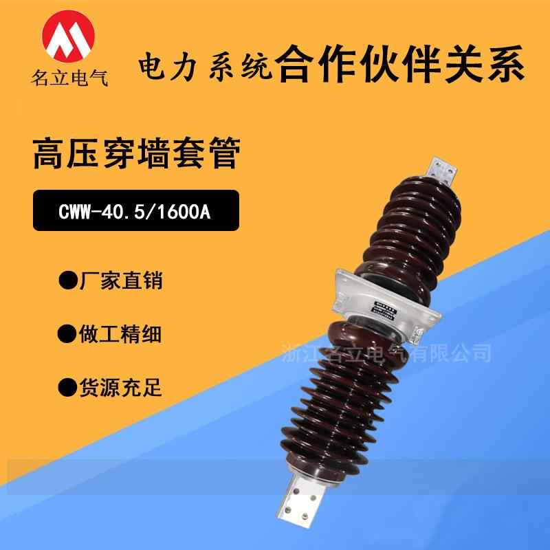 35KV高压穿墙套管CWW-40.5/1250-4000ACWB10-24陶瓷绝缘防污瓷瓶