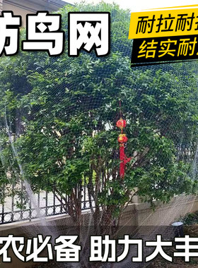 超耐用果树防鸟网户外家用
