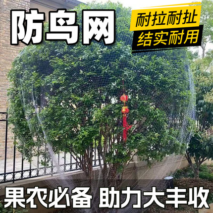 果园防鸟网大棚天网果树防鸟网天沟网鱼塘防鸟网尼龙养殖网防鸟网
