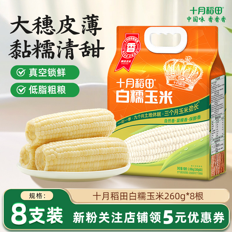 十月稻田东北白糯玉米大棒8根