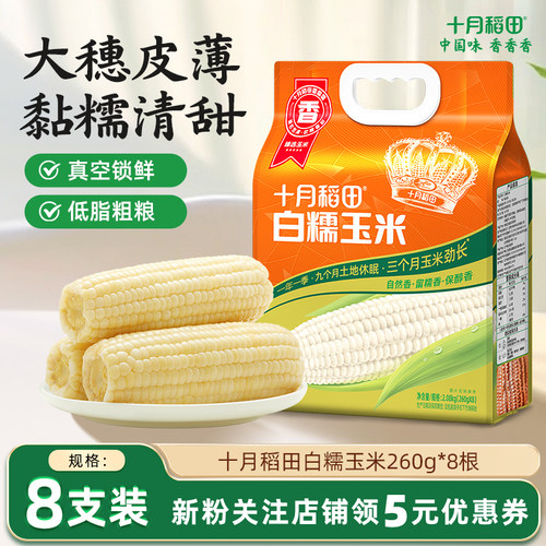 十月稻田东北白糯玉米大棒8根