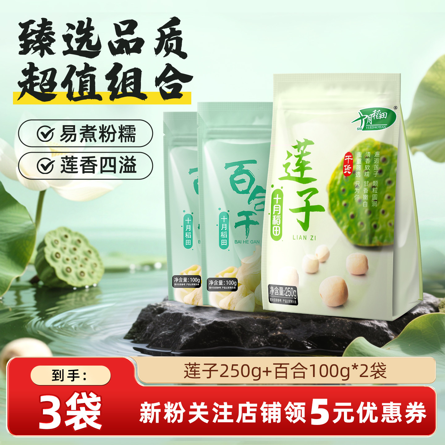 十月稻田莲子百合组合