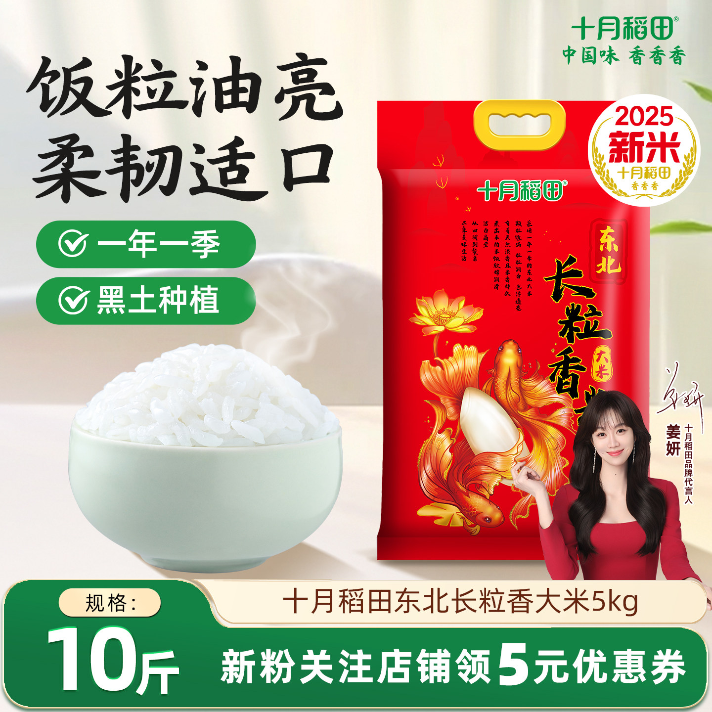 十月稻田辽河长粒香米5kg东北大米粳米粥饭香大米真空旗舰店正品