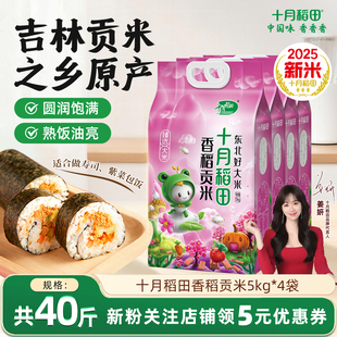 2025年新米十月稻田香稻贡米5kg*4袋东北大米香米饭团用米40斤囤