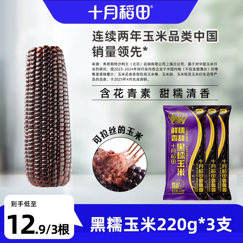 十月稻田黑糯玉米220g3根东北香糯玉米新鲜粗粮含花青素真空旗舰