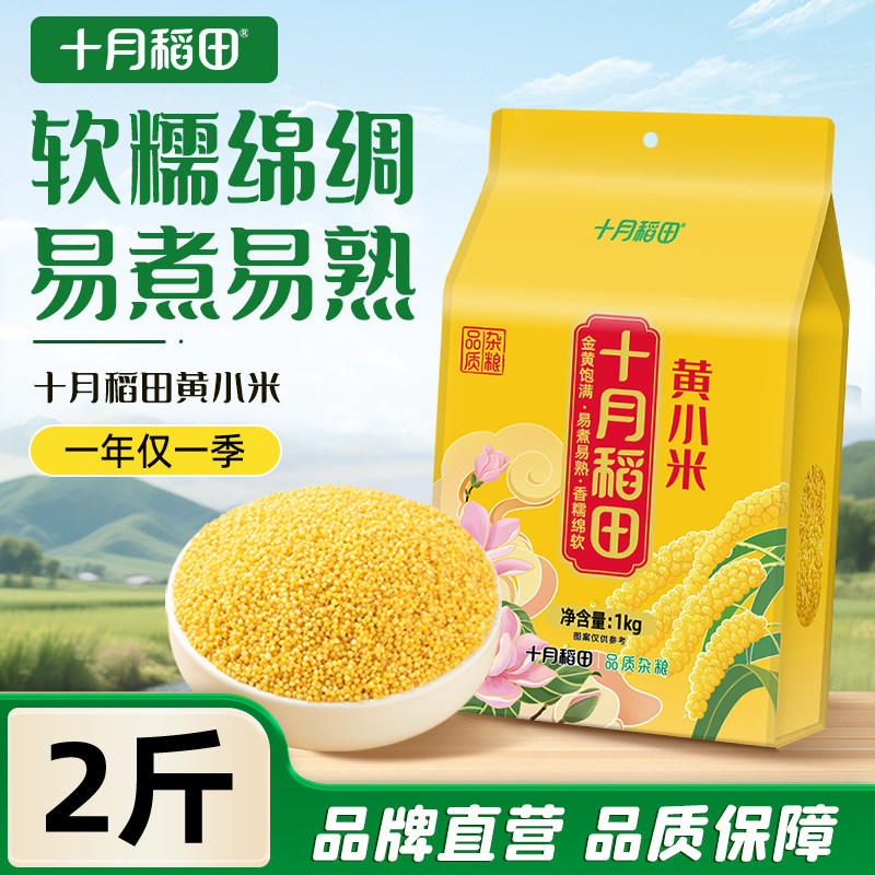 十月稻田黄小米2斤米油丰厚图片