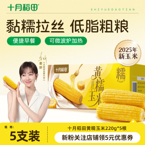 十月稻田黄糯玉米软糯拉丝