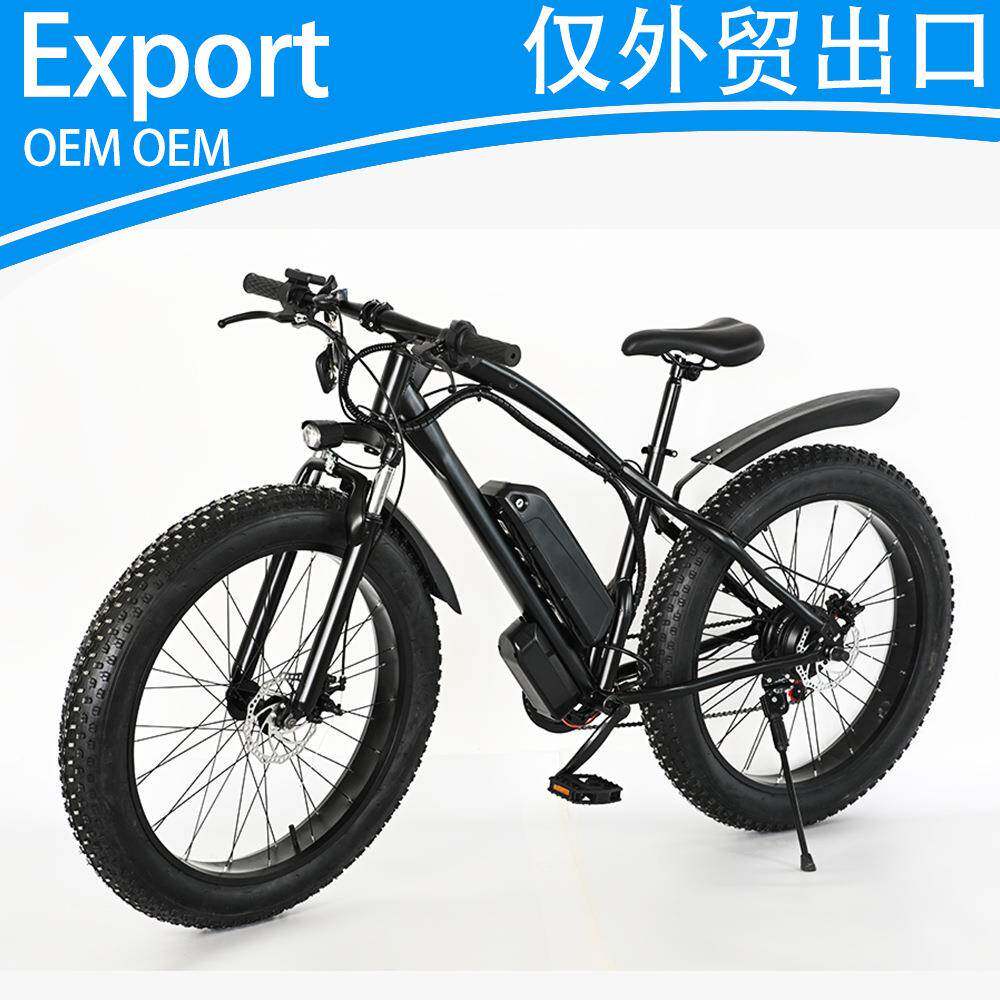 20寸48V00W电动自行车助力车锂电哈雷油刹出口外贸载重王外贸雪