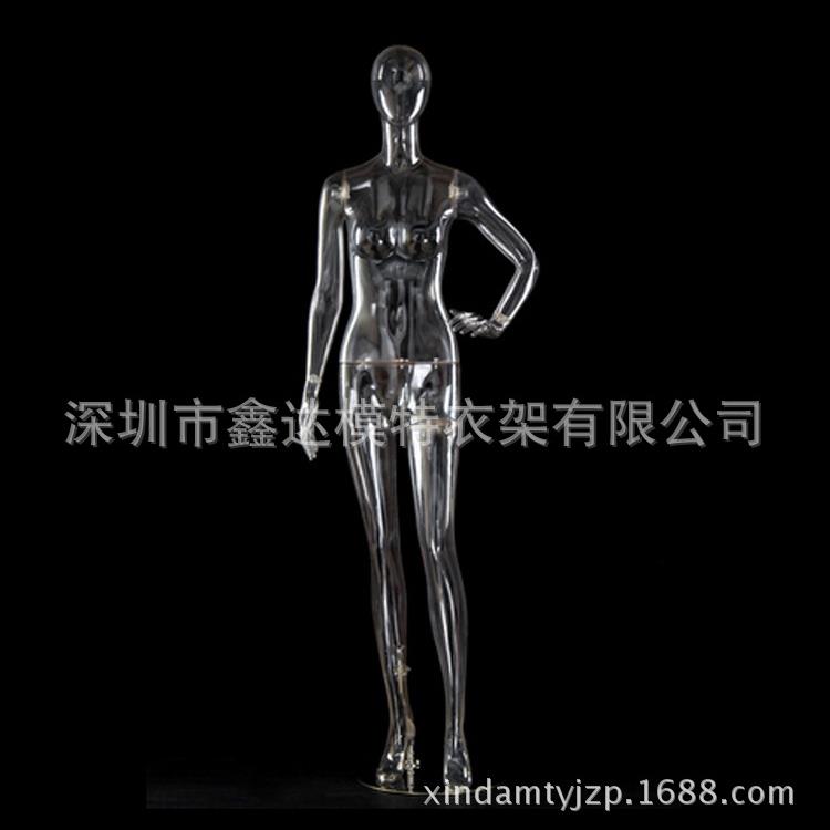 销售透明模特透明有头无头全身女模特拍照陈列女装透明模特