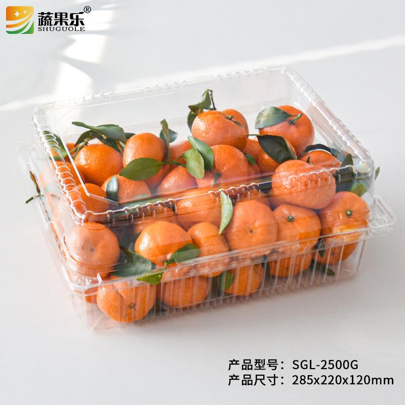 蔬果乐2500一次性果蔬橘子透明塑料包装盒加厚5斤装水果盒长方形