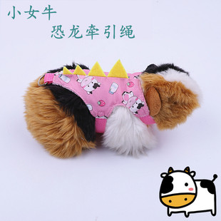 雪貂胸背安格鲁宠物貂牵引绳荷兰猪恐龙变身装龙猫牵引绳小宠用品