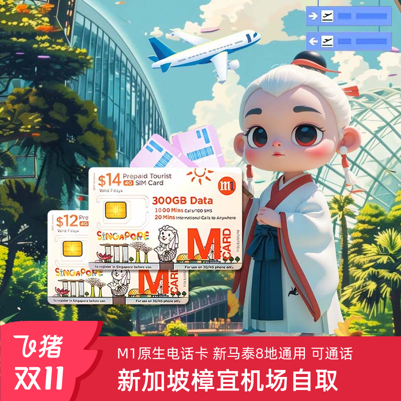 新加坡电话卡