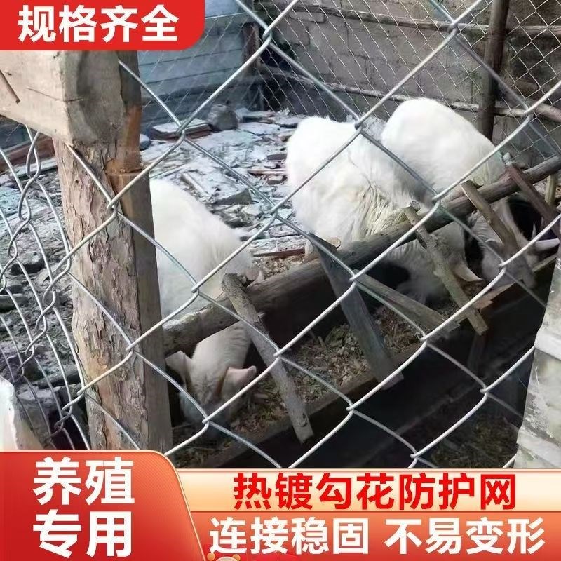 内蒙防锈镀锌铁丝网钢丝网围护栏网家用养殖牛羊拦鸡网菜园勾花网