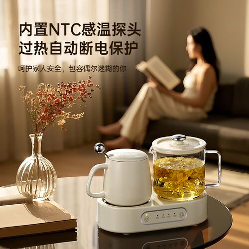 养生壶办公室小型煮茶器迷你家用全玻璃花茶壶多功能电炖煮杯双炉