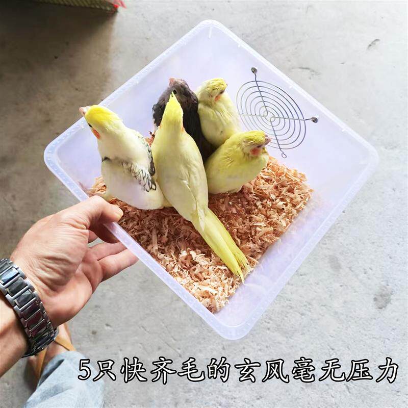鹦鹉繁殖箱鸟窝竖式抽屉款抗咬可以水洗防霉梯形旋风小太阳金太阳