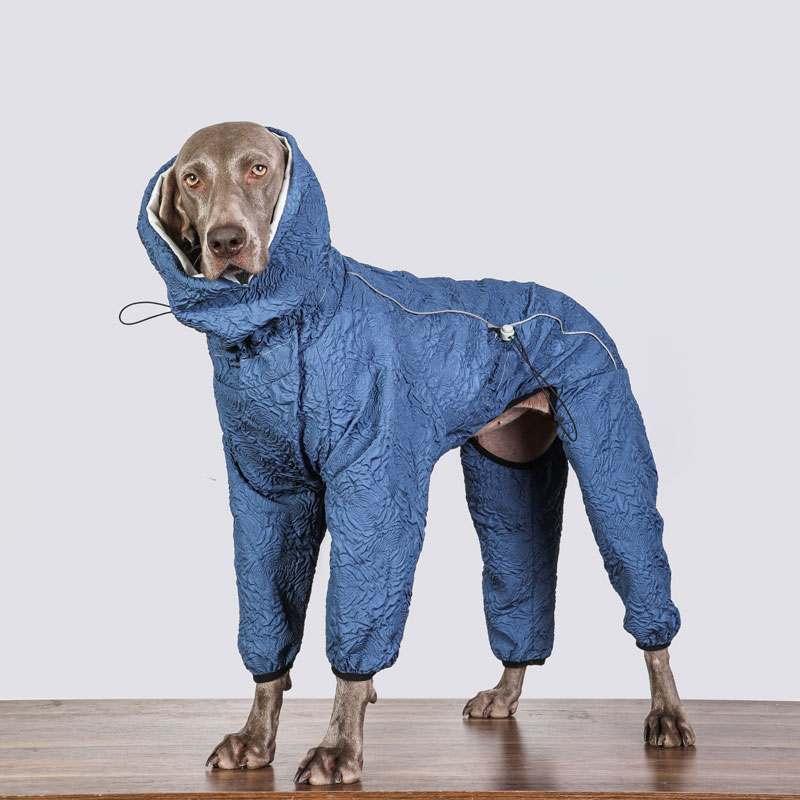 大狗衣服秋冬季加厚保暖宠物大型犬棉袄金毛拉布拉多杜宾秋冬衣服
