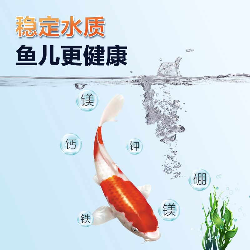 硝化细菌鱼池用净水剂分解鱼便养鱼消化活菌液锦鲤鱼缸水质稳定剂