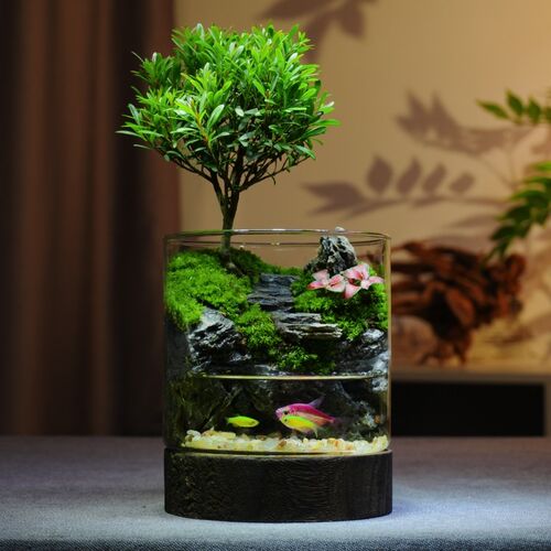 原创苔藓微景观生态瓶室内桌面植物绿植盆栽懒人养护生态缸养鱼蟹