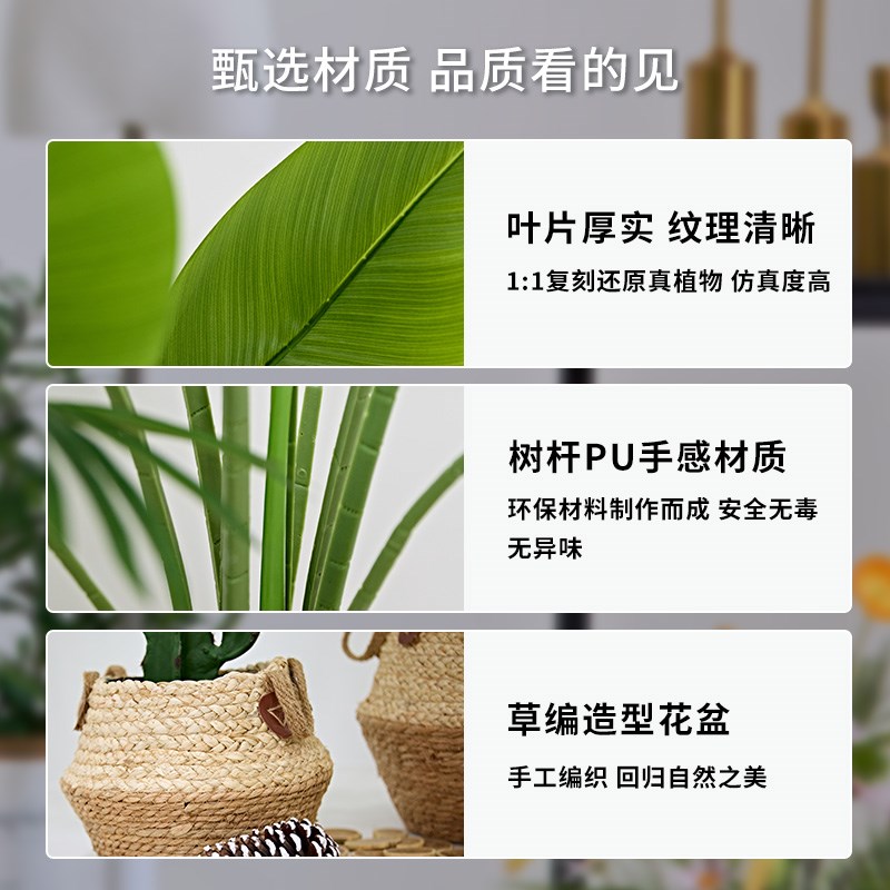 橱窗装饰女服童装店陈列展示道具摆件美陈场景布置仿真绿植物造景