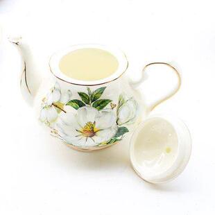 茶具下午茶茶壶耐高温 骨瓷咖啡壶茶壶家用手冲大容量欧式
