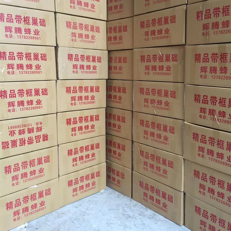 杉木成品巢框带框巢础钢丝一体中蜂意蜂巢脾蜜蜂蜂箱标准巢框包邮