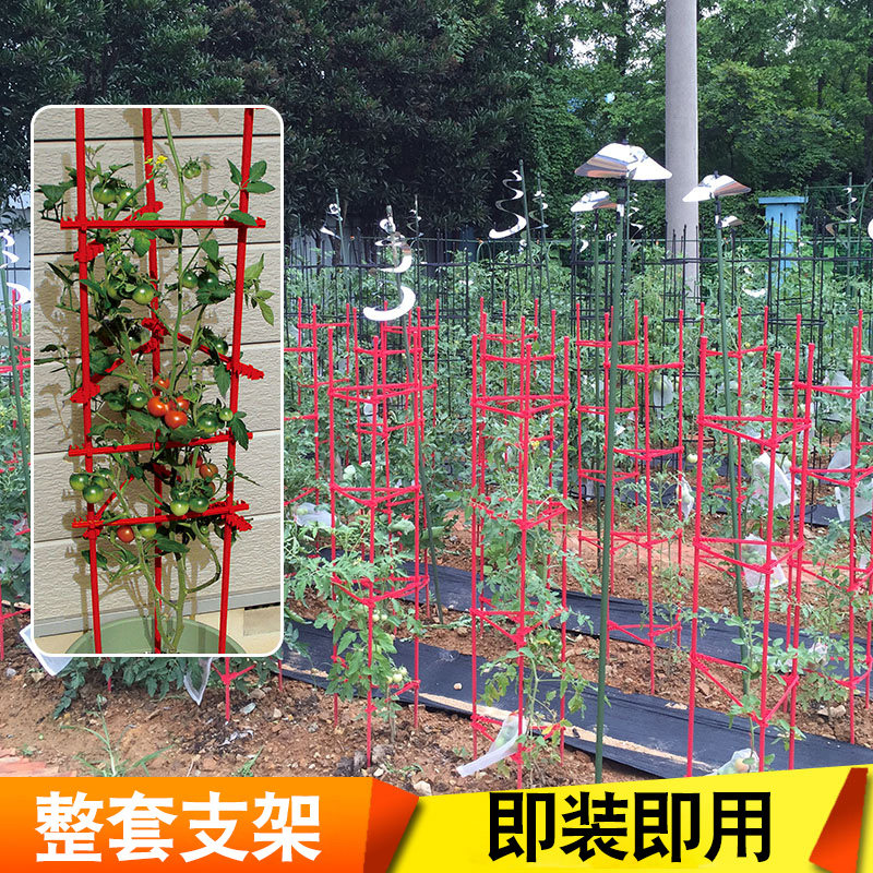 菜架子种菜阳台西红柿室内外植物架子黄瓜花架种植丝瓜攀爬藤支架