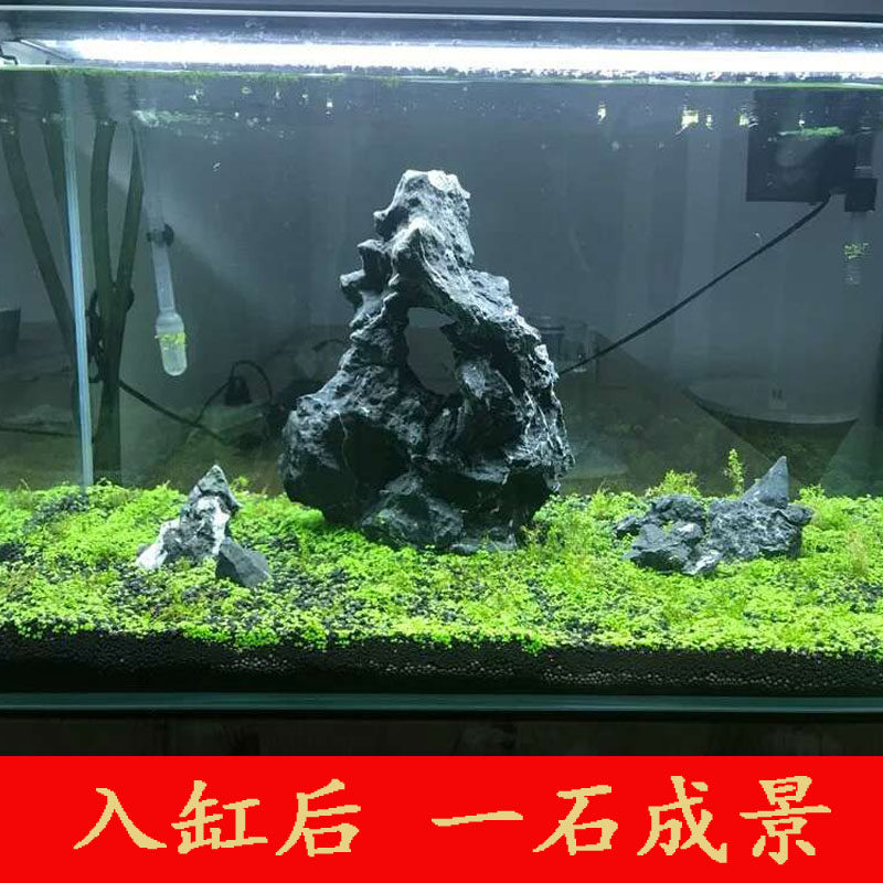 酸洗青龙石 造景石 鱼缸造景石头水陆草生态鱼缸造景盆景假山装饰