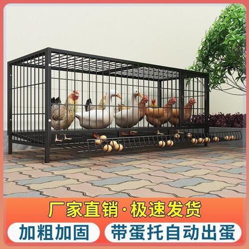 鸡笼子折叠家用养殖加粗兔子笼鸭笼鹅笼狗笼自动滚蛋鸡笼厂家直发