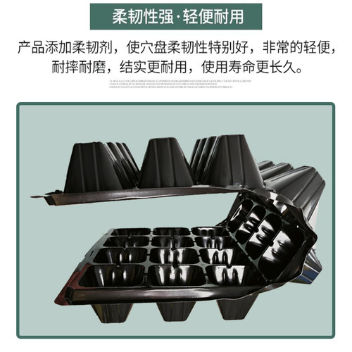 整箱育苗盘穴盘蔬菜育苗盆育苗盒育苗盆塑料育苗器苗木多肉箱