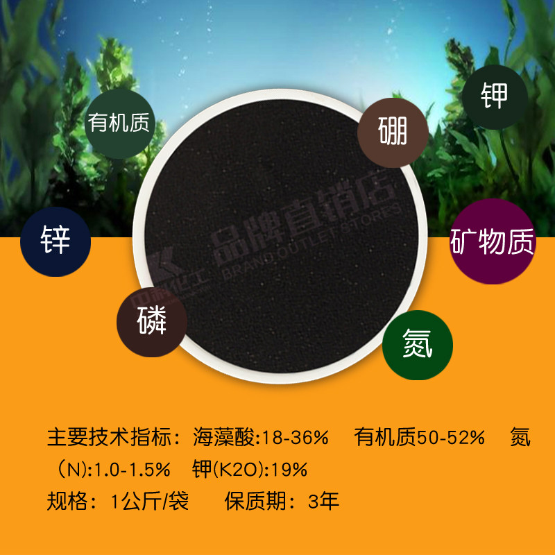大包装海藻精叶面肥有机水溶肥料精华原液蔬菜果树草莓药材冲施肥