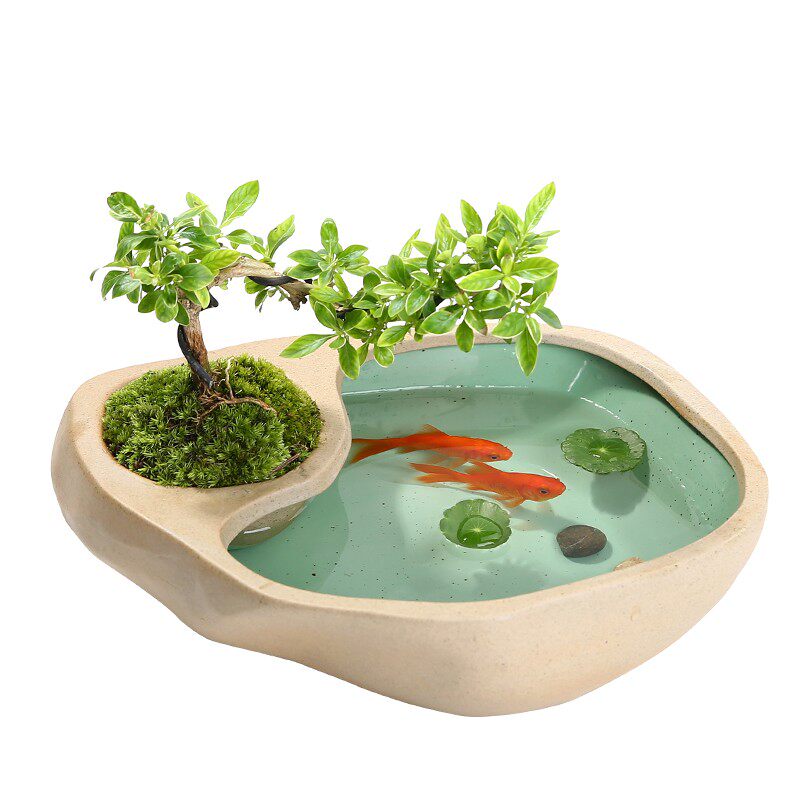 铜钱草水培花盆陶瓷盆栽盆大号创意个性水养一叶莲碗莲器皿金鱼缸